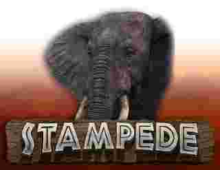 Stampede Game Slot Online